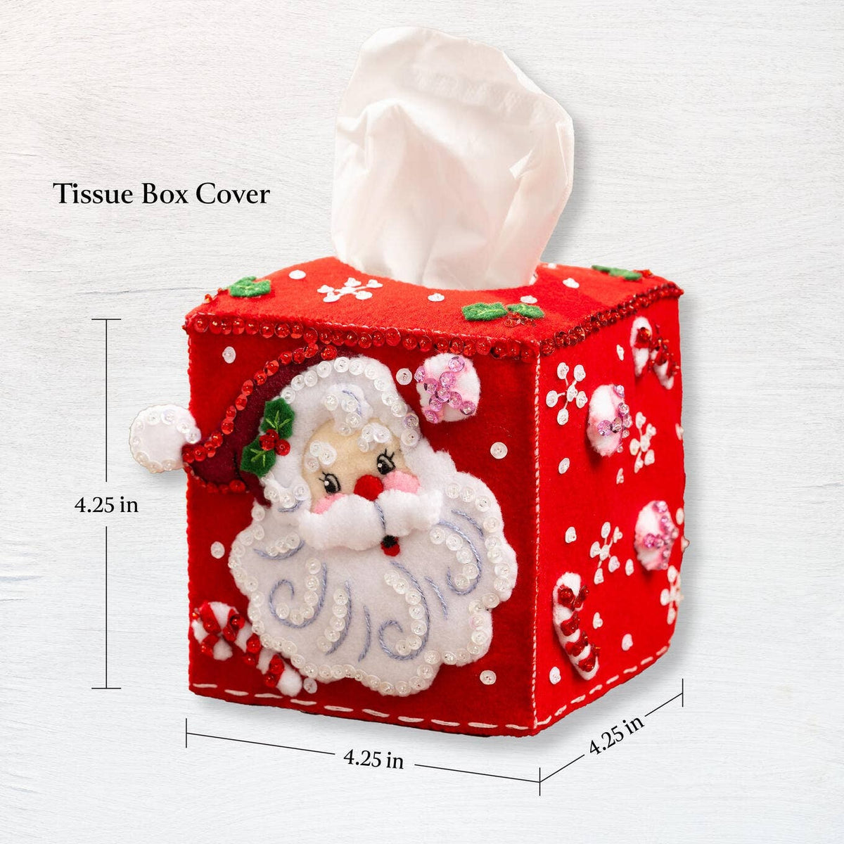 Bucilla Santa St Nick Felt Tissue Box Cover Kit