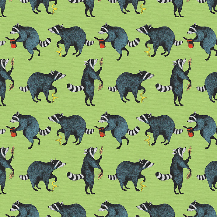 PBS Fabrics - Raccoon Ruckus - Sneaky Raccoon Green - 12022714