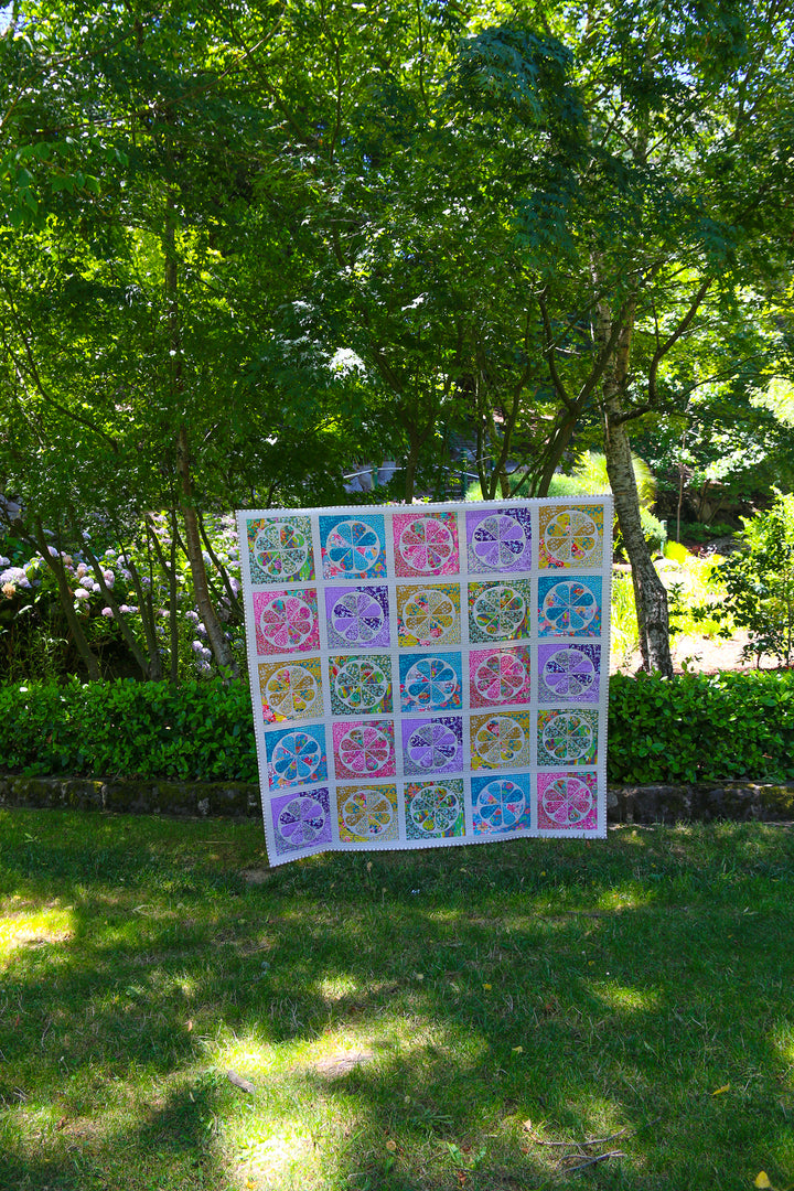 The Daisy Quilt Pattern By Emma Jean Jansen