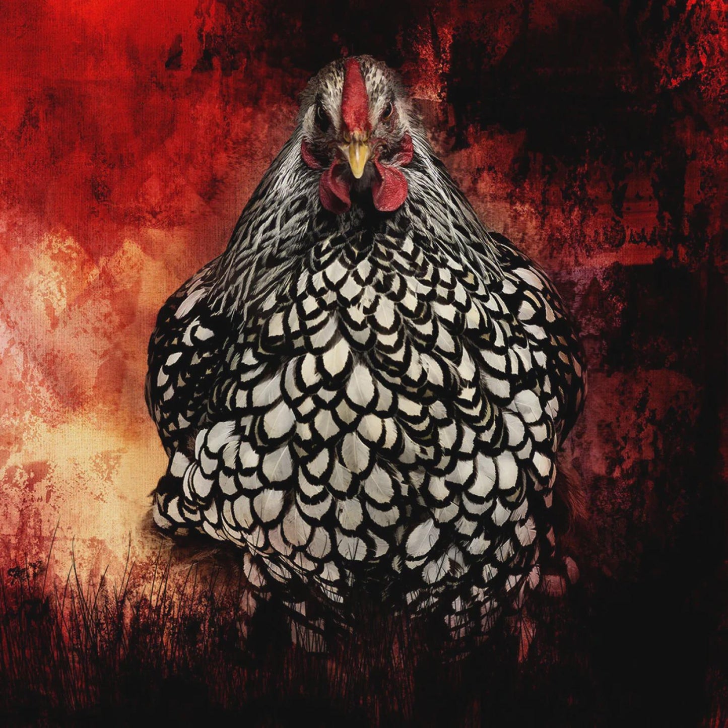Focus On Fabric - Angry Chicken Fabric Panel - 18"x18" - 1 Panel