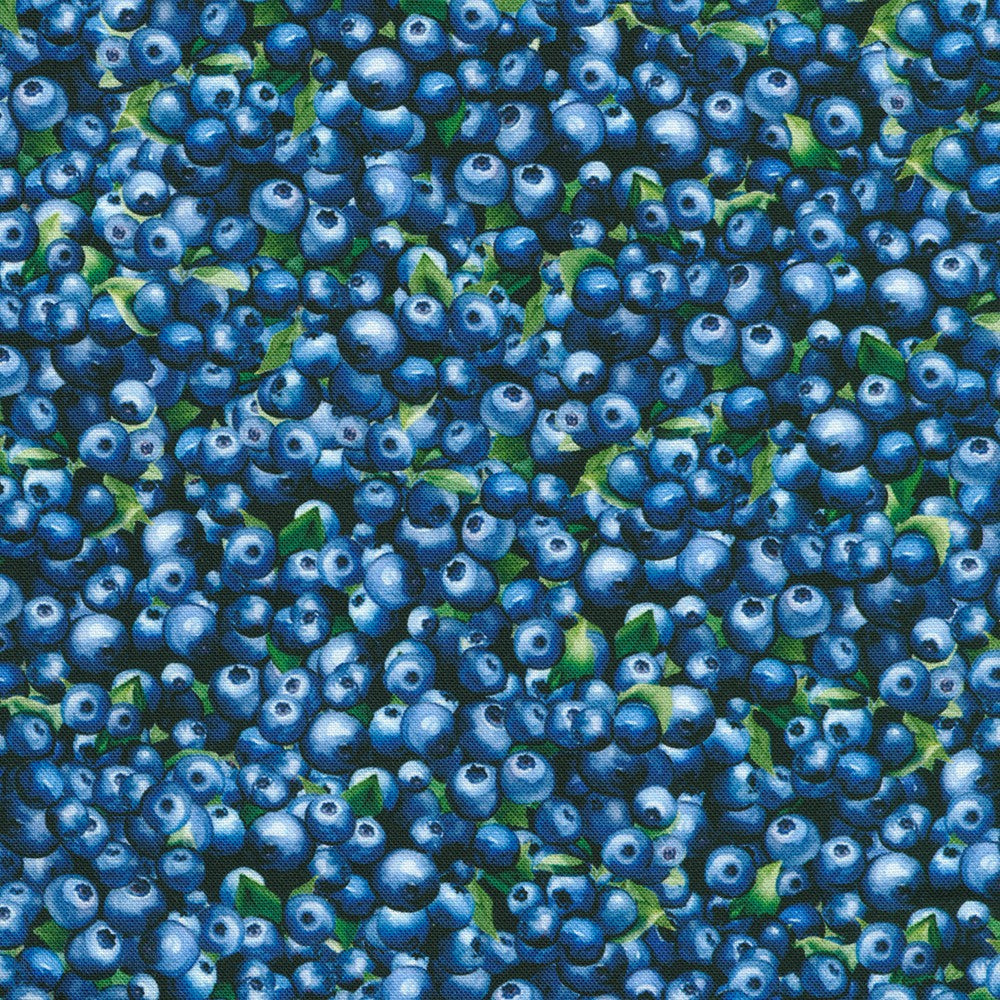 Robert Kaufman - Blueberry Brunch - Blueberries - SRKD-23282-77 BLUEBERRY