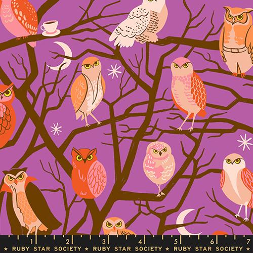 Preorder - Ruby Star Society - Freaky Familiars - Halloween Novelty Owls - RS5190 11 - Ships June 2026