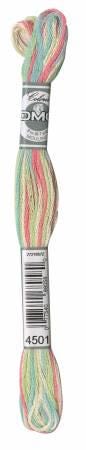 DMC Coloris Floss - 4506 - 4503 - 4510 - 4512 - 4521 - 4501 - 4520 - 4517