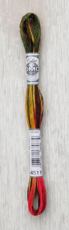 DMC Coloris Floss - 4522 - 4523 - 4519 - 4516 - 4502 - 4511 - 4513 - 4514