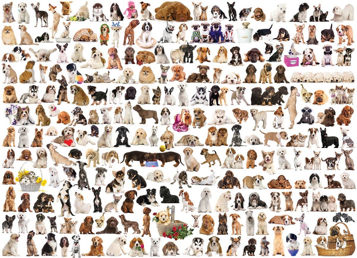 Eurographics Puzzles USA - The World of Dogs Puzzle