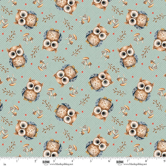 Blank Quilting Co. - Tango Twist Designs - Wild and Free - Woodland Owls Mushrooms - 4926-11 Teal