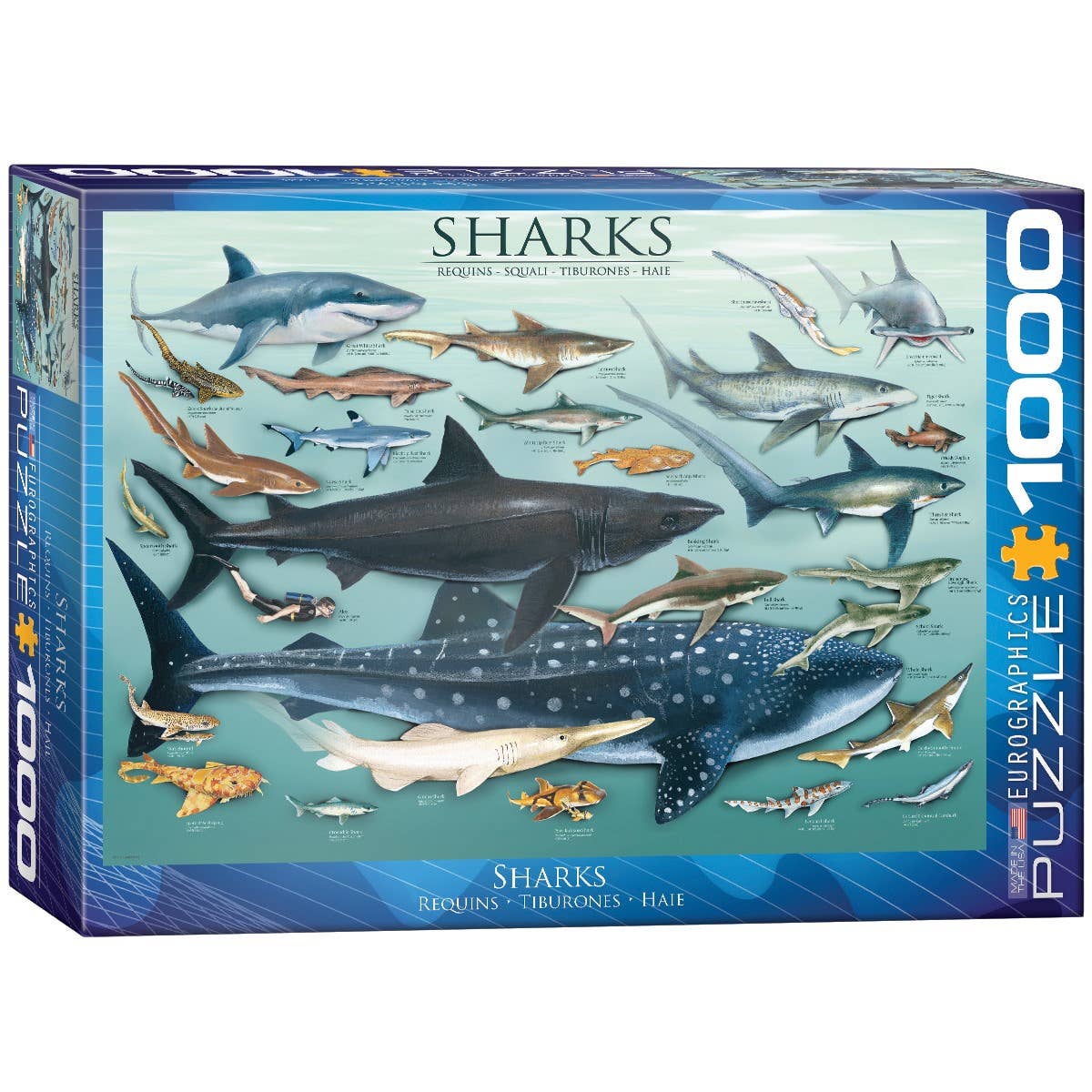 Eurographics Puzzles USA Sharks Puzzle