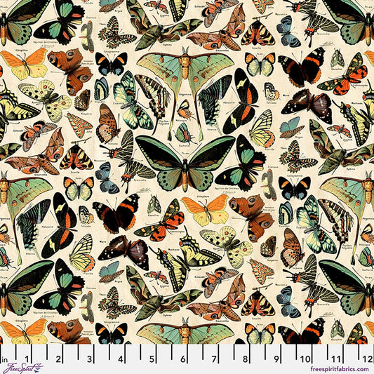 FreeSpirit - Tim Holtz - Teal Butterflies and Moths Canvas - CCTH027.TEAL
