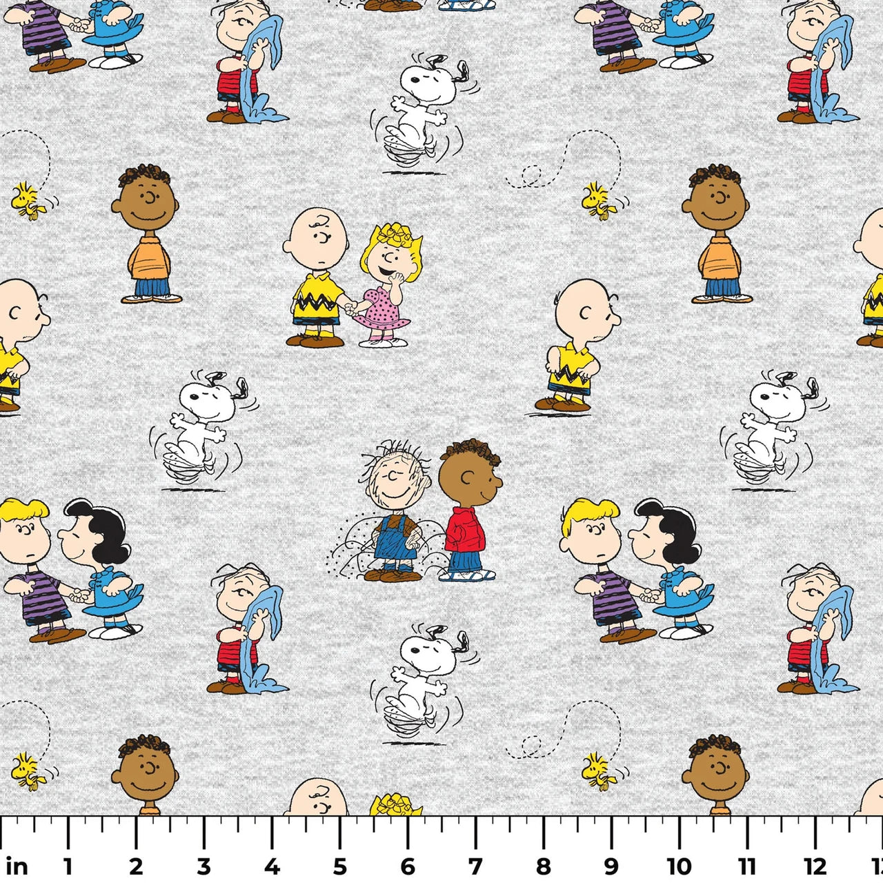 Springs Creative - Peanuts Charlie Brown and Gang - SPR78731-A62028
