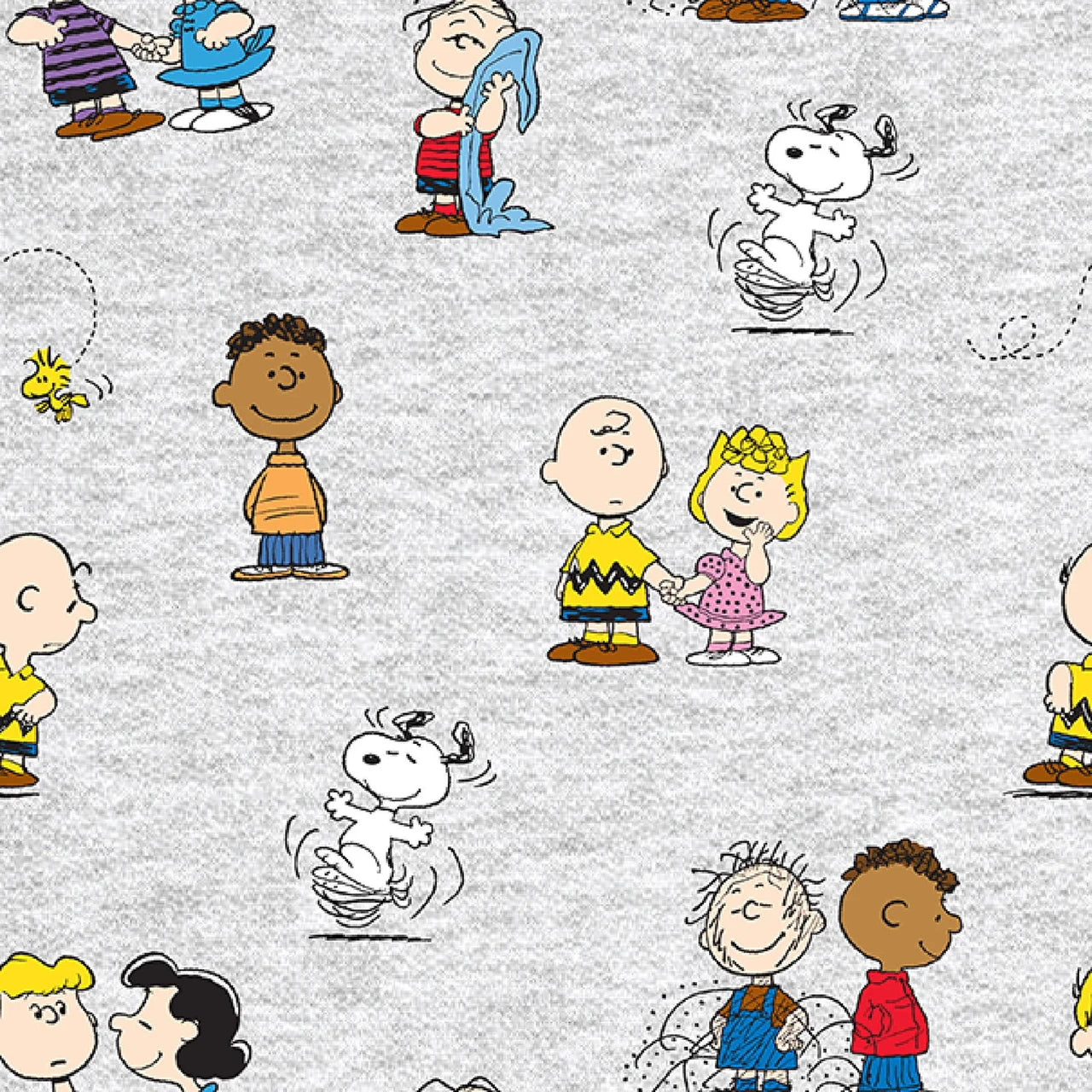 Springs Creative - Peanuts Charlie Brown and Gang - SPR78731-A62028