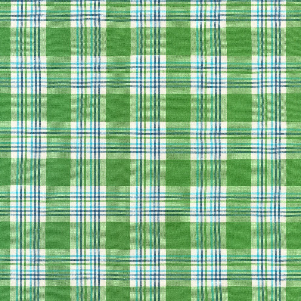 Robert Kaufman - Kona Loomworks Summer Breeze - SRK-23669-365 GRASSHOPPER