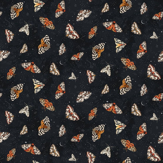 Dear Stella - Moth To A Flame - Moonlight Flight Moths - STELLA - D3777