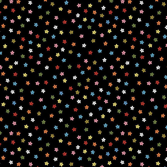 Dear Stella - Leezaworks - Bok Bok Meow - Petal Pawty Rainbow Flowers on Black - STELLA - DLW3704  JET