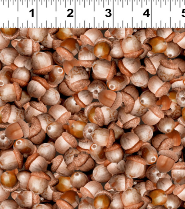 Clothworks - Nancy Rose - The Secret Life of Squirrels IV - Acorns - Y4902-14 Light Brown
