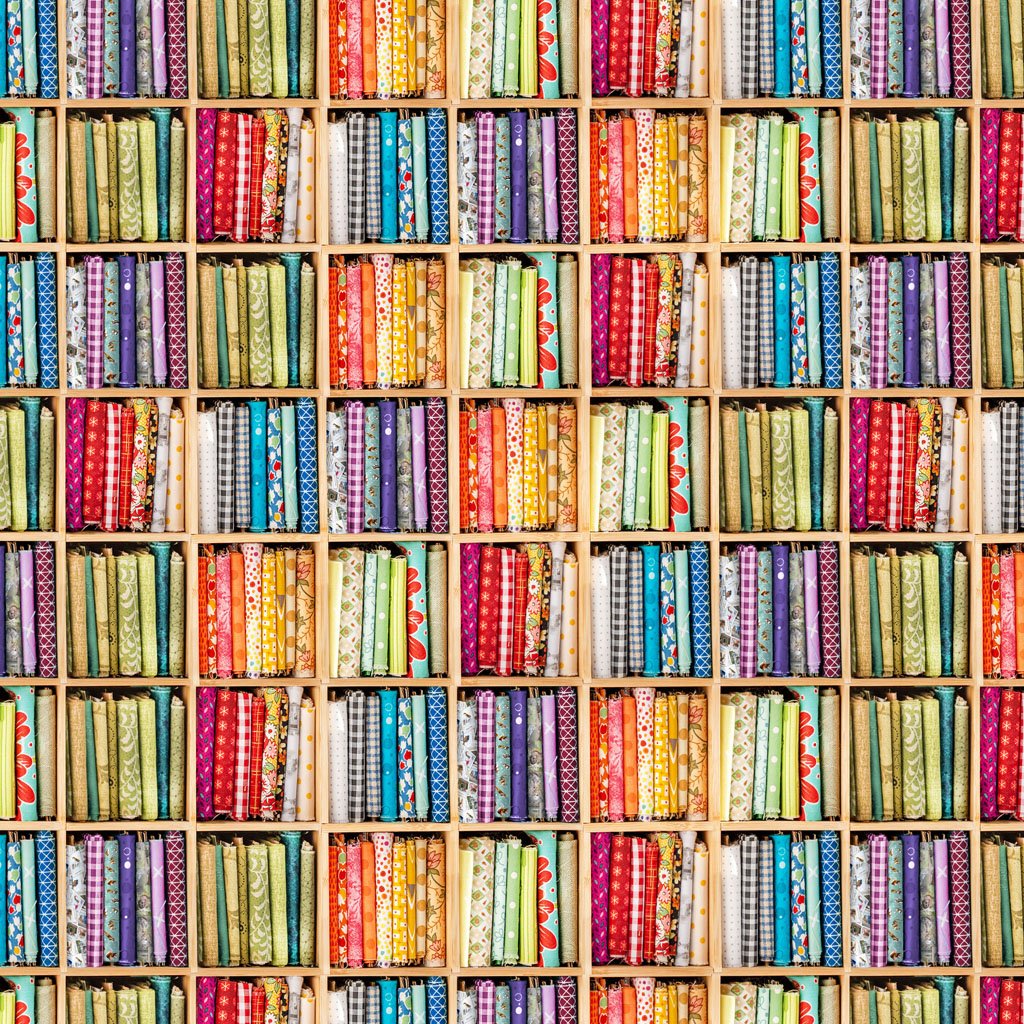 Clothworks - Nancy Rose - The Secret Life of Squirrels IV - Rainbow Fabric Shelves - Y4897-55