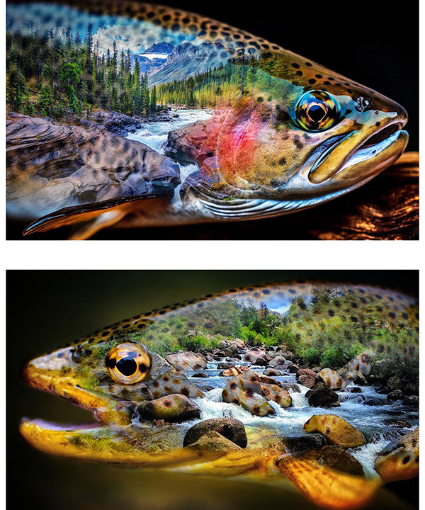 Preorder - Hoffman California - Trout About - Trout Fish Panel - Y5832-311 - Ships October 2026