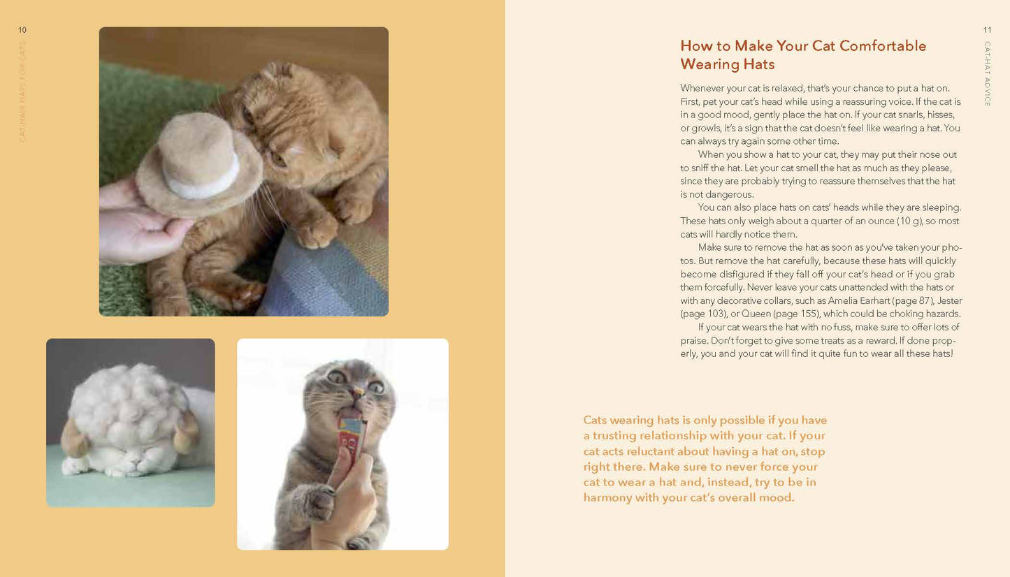 Cat-Hair Hats For Cats Book By Rojiman and Umatan