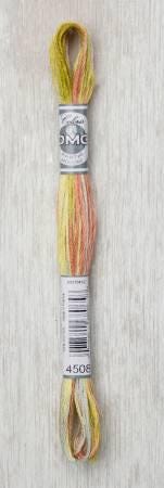 DMC 6 Coloris Floss - 4515 - 4508 - 4518 - 4509 - 4507 - 4504 - 4505 - 4500