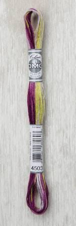 DMC Coloris Floss - 4506 - 4503 - 4510 - 4512 - 4521 - 4501 - 4520 - 4517