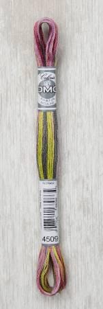 DMC 6 Coloris Floss - 4515 - 4508 - 4518 - 4509 - 4507 - 4504 - 4505 - 4500