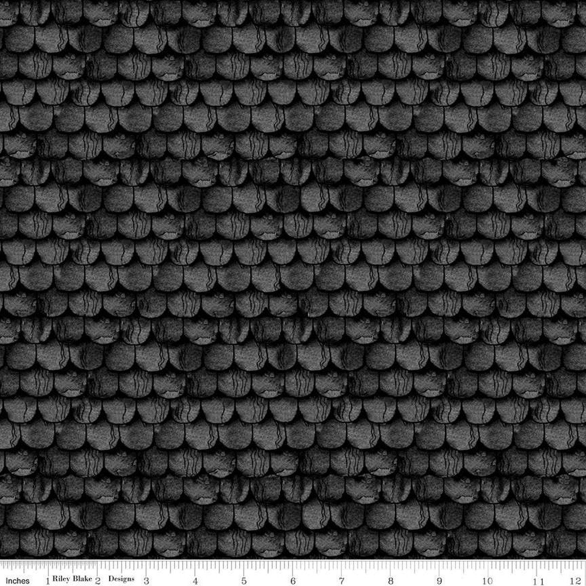 Riley Blake - Pumpkin Patch - Rooftop Shingles Black - C14577-BLACK