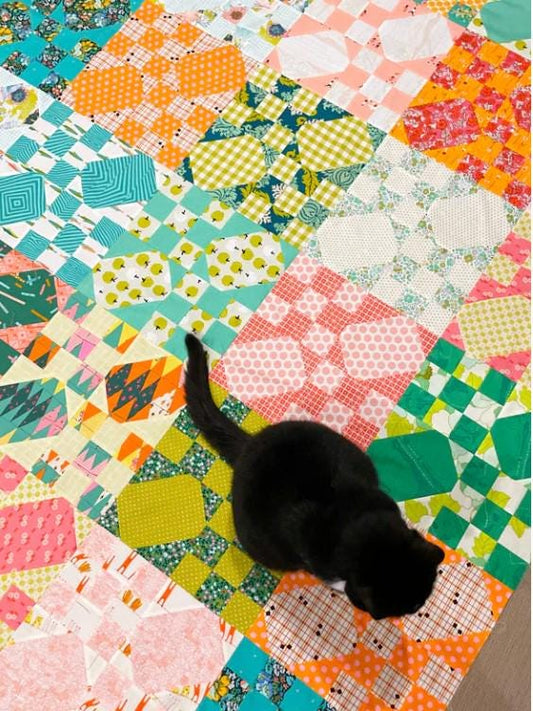 McNeills Quilt Pattern by Emma Jean Jansen