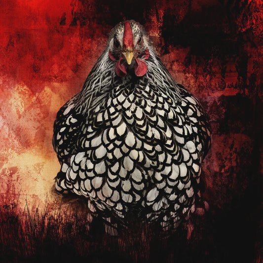 Focus On Fabric - Angry Chicken Fabric Panel - 18"x18" - 1 Panel