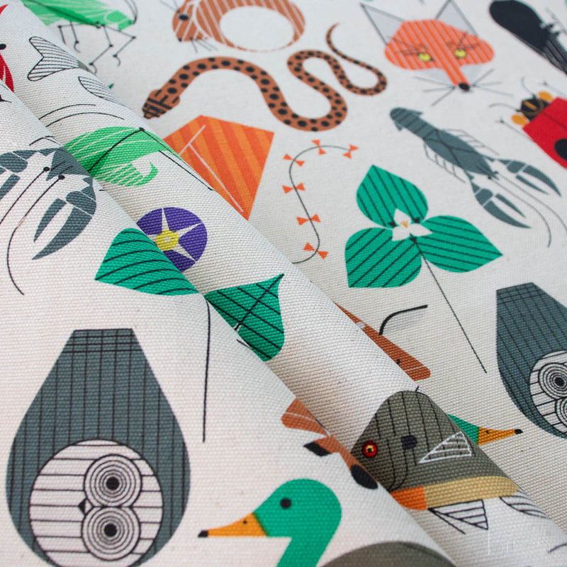 Birch Fabrics - Charley Harper - Space For All Species Canvas - 48"/50" Wide - D-CH-411