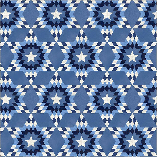 Preorder - Windham - Whistler Studios - 108" Wide Quilt Back - Lone Star - 55297DW - 1 Windham Blue - Expected Release February 2026