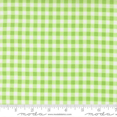 PREORDER - Moda - Corey Yoder - Fruit Salad - Gingham Checks And Plaid - 29245 19 - Expected Release April 2026