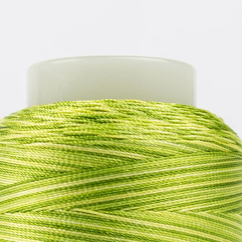 Wonderfil - Fabulux - Hint Of Lime - Green Variegated 40wt 3 Ply Trilobal Polyester Thread - 700m - FB13