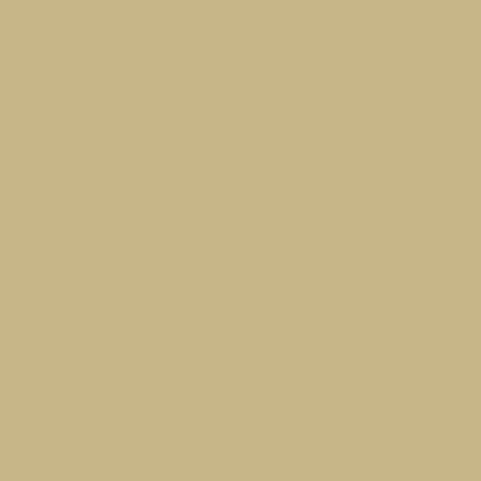 Robert Kaufman - Flannel Solids - F019-1369 TAN