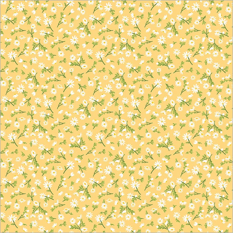 Preorder - Windham - Villa Sol Organic - Chamomile Flowers - 55234-10 Sunburst - Ships May 2026
