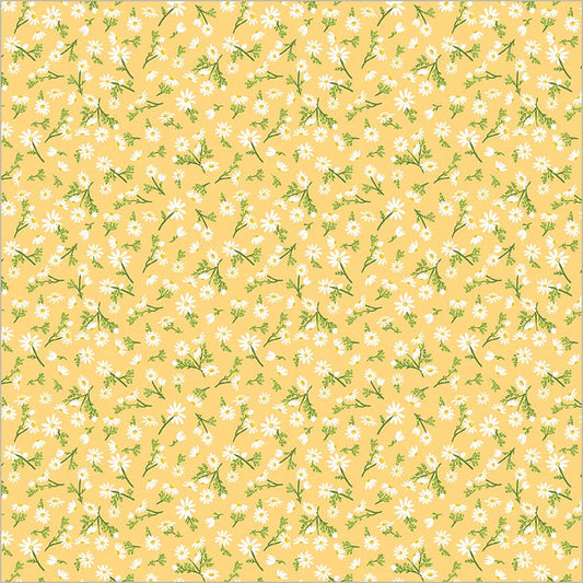 Preorder - Windham - Villa Sol Organic - Chamomile Flowers - 55234-10 Sunburst - Ships May 2026