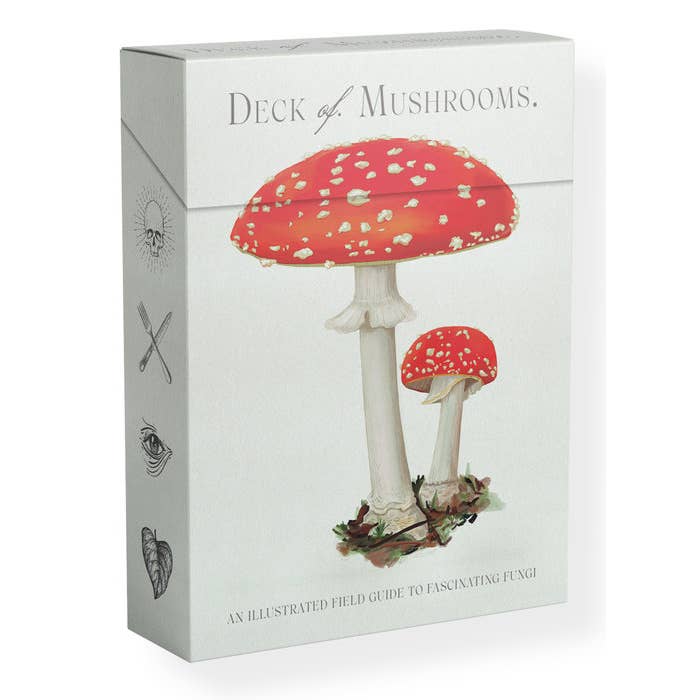 The Deck Of Mushrooms Fungi Identification Flashcards