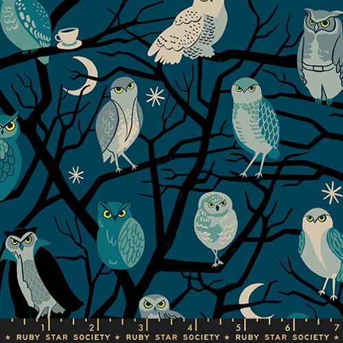 Preorder - Ruby Star Society - Freaky Familiars - Halloween Novelty Owls - RS5190 12 - Ships June 2026