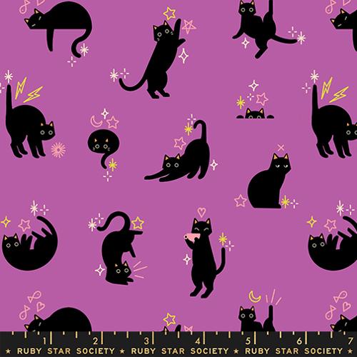 Preorder - Ruby Star Society - Freaky Familiars - Halloween Novelty Black Cats - RS5193 13 - Ships June 2026