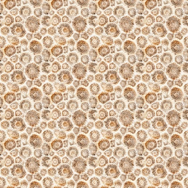 Preorder - QT Fabrics - All Michigan Shop Hop 2026 Fabric - Petoskey Stones - 32086 A - Ships June 2026
