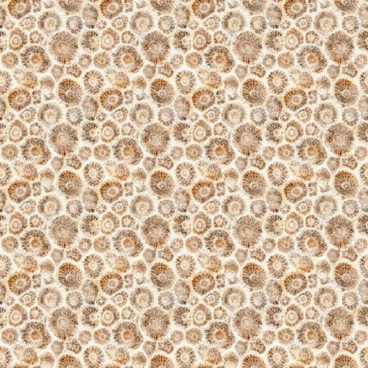 Preorder - QT Fabrics - All Michigan Shop Hop 2026 Fabric - Petoskey Stones - 32086 A - Ships June 2026