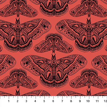 Northcott - Anna Maria Textiles - Indelible Ink - Cecropia Moths - AMT1008-23L